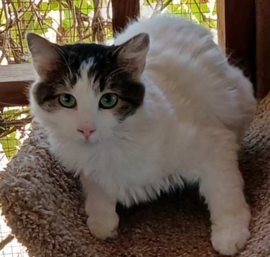 Photo of Mavis