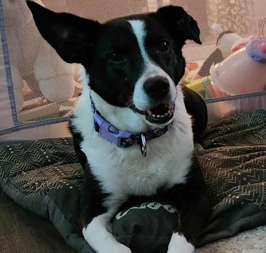 Photo of Sophie