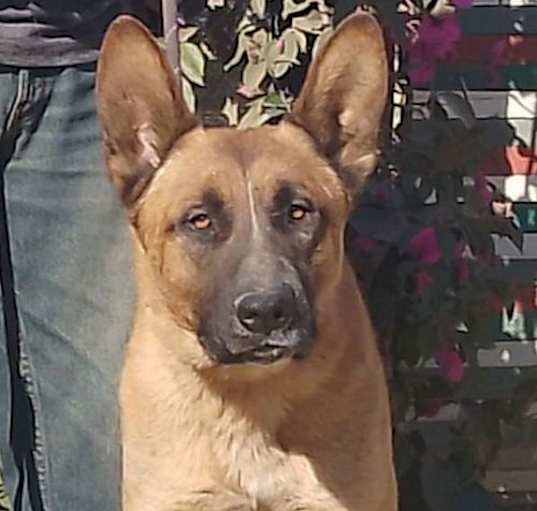 Photo of Duke G