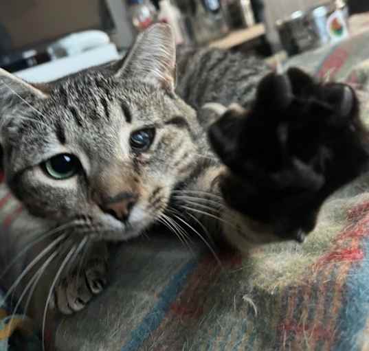 Photo of Mr. Grover
