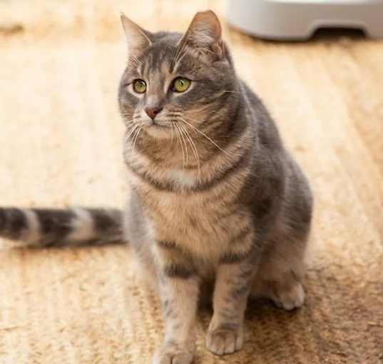 Photo of Lucy