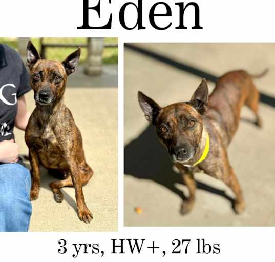 Photo of Eden