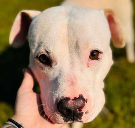 Photo of Billy