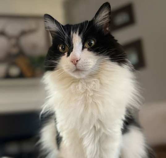 Photo of Patsy