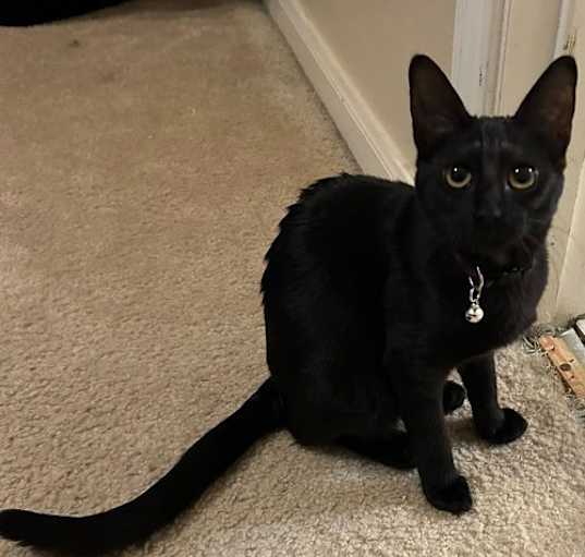 Photo of Luci