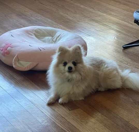 Photo of Precious