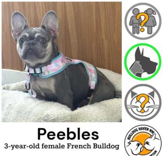 Photo of Peebles