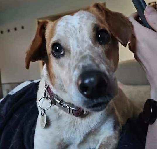 Photo of Jake