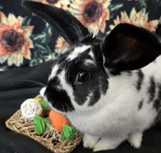 Photo of Mia
