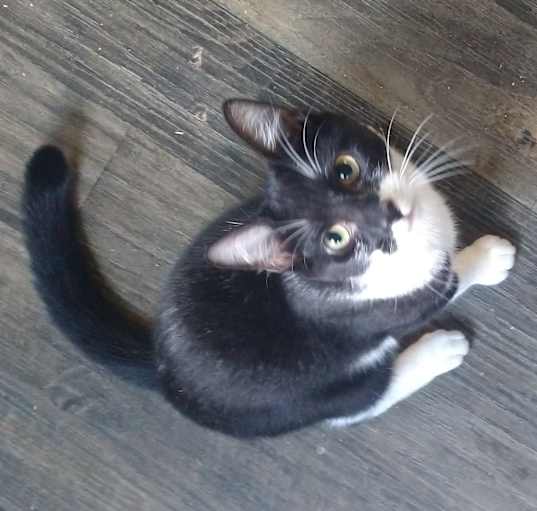 Photo of Liddy