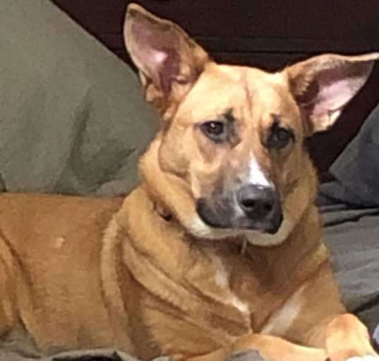 Photo of Maddy