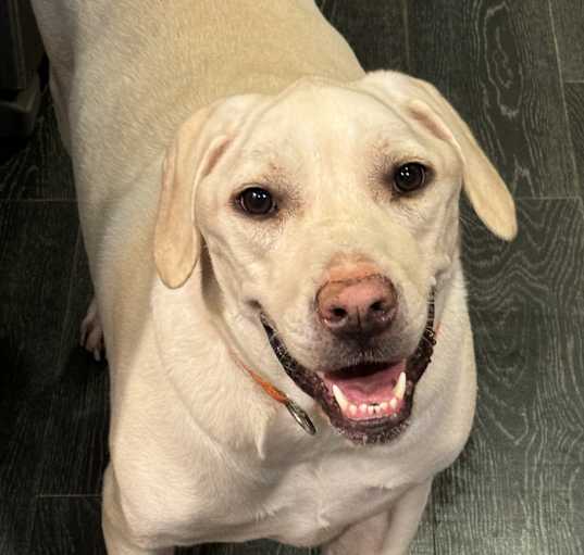 Photo of Booster