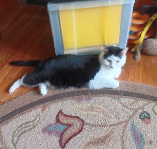 Photo of hobbs