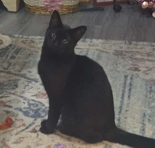 Photo of Bob