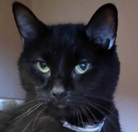 Photo of Lenny