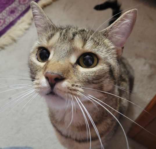 Photo of Gabby