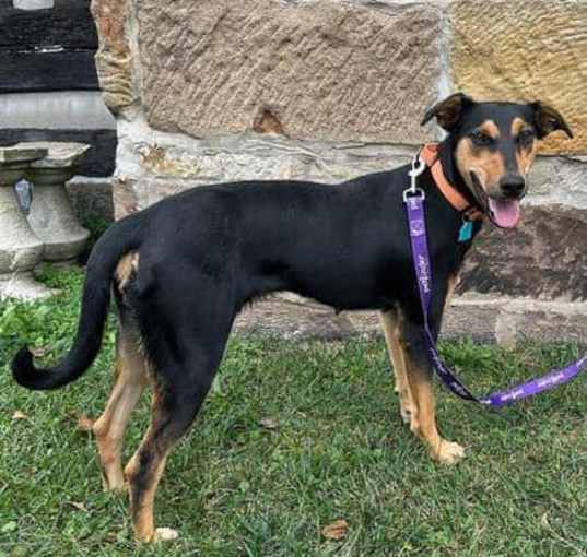 Photo of Lilly