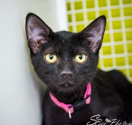 Photo of Selene