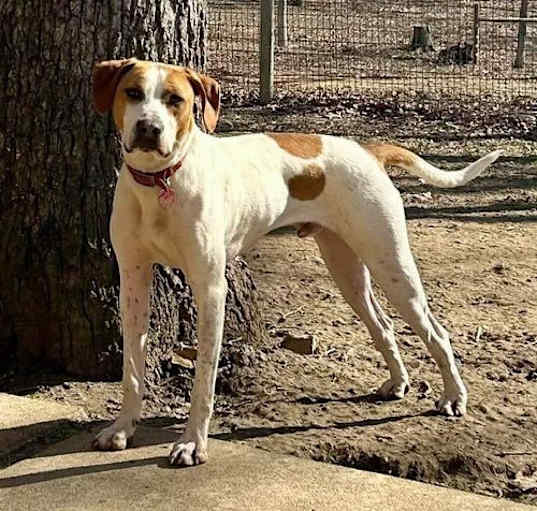 Photo of Chance