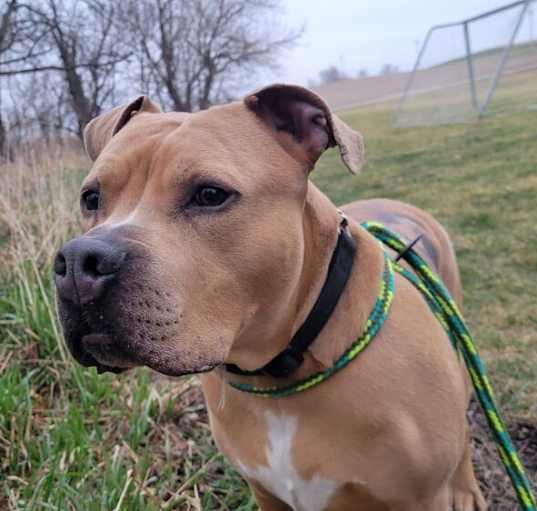 Photo of Major