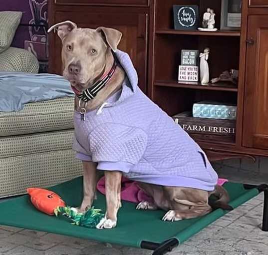 Photo of Reese