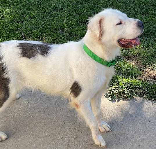 Photo of Jaxx