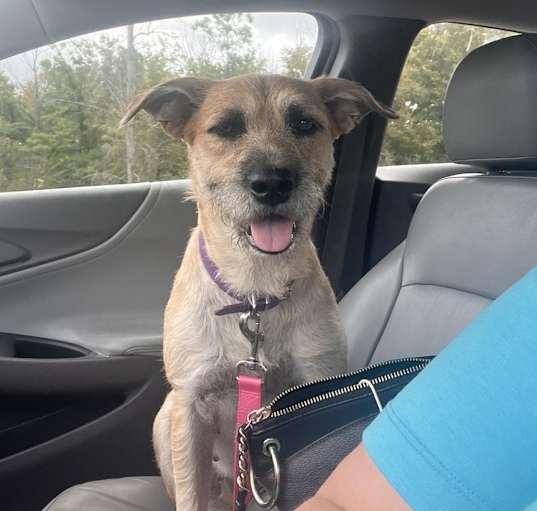Photo of Gretta