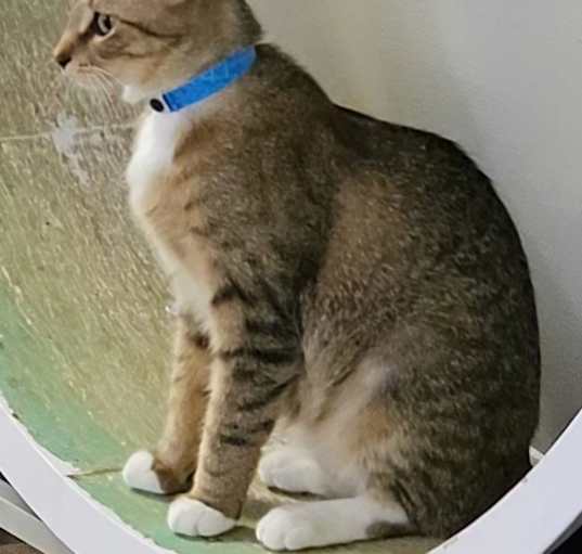 Photo of Hennessy