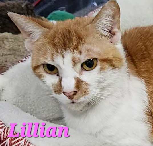Photo of Lillian