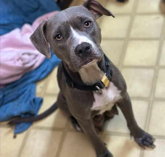 Photo of Luci