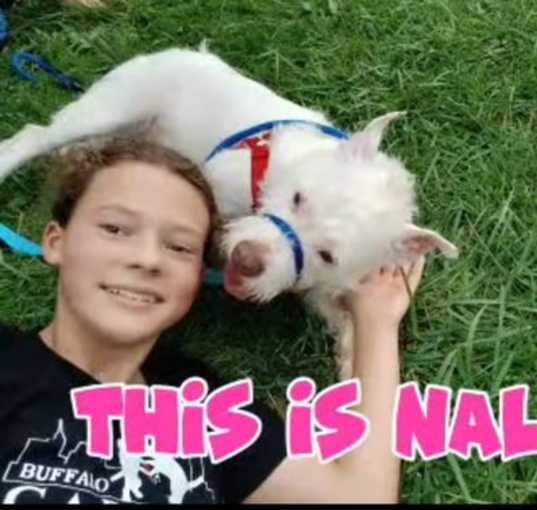 Photo of Nala