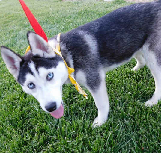 Photo of LULU