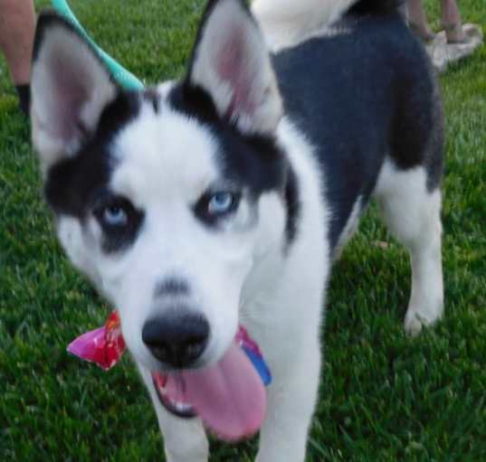 Photo of NIKKO