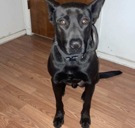 Photo of Kujo