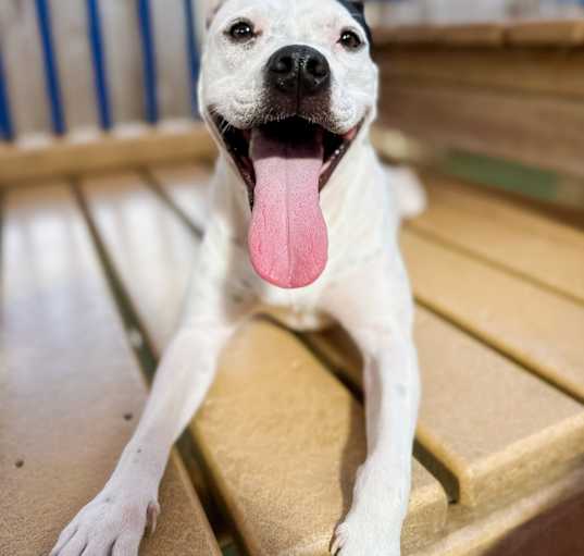 Photo of Thelma