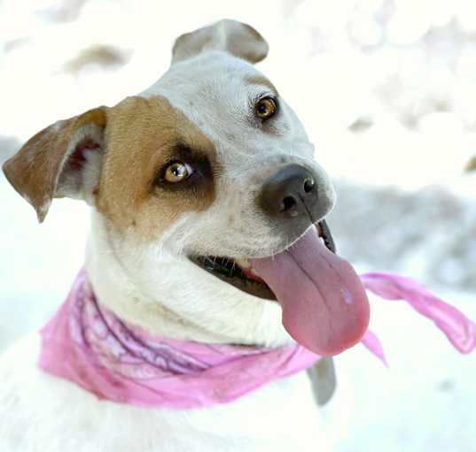 Photo of Jewel