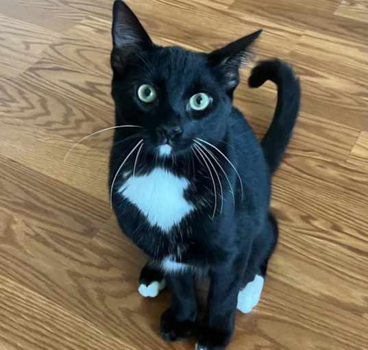 Photo of Bradie