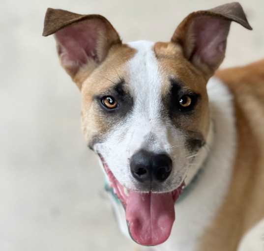 Photo of Major