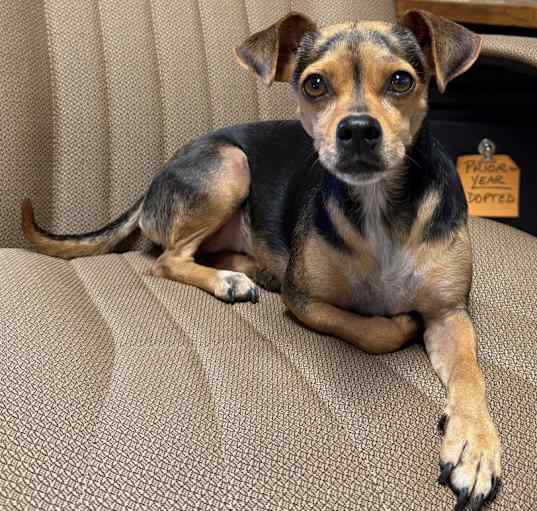 Photo of SNICKERS