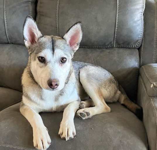 Photo of Ellie