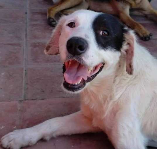 Photo of Sam