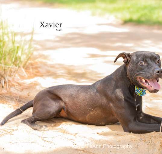 Photo of Xavier