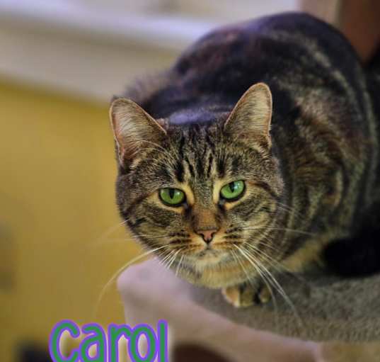 Photo of Carol