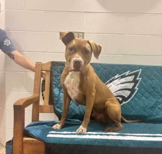 Photo of Buddy