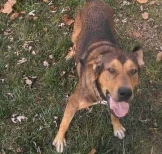 Photo of Copper