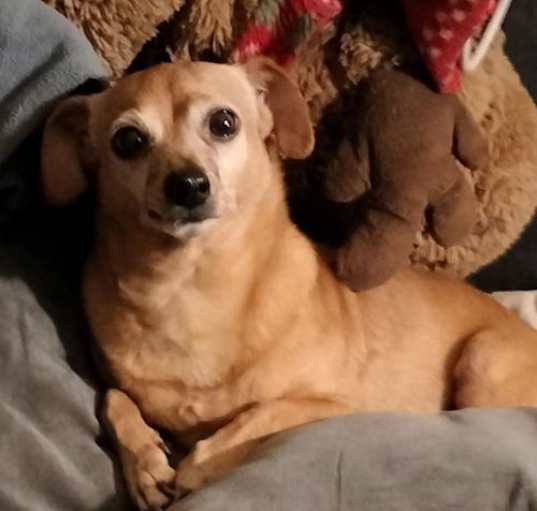 Photo of Ernie
