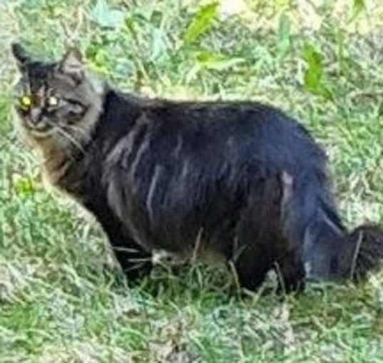 Photo of Duchess