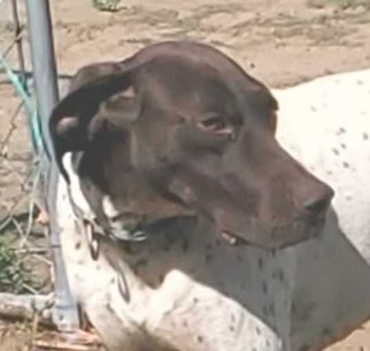 Photo of Kingston