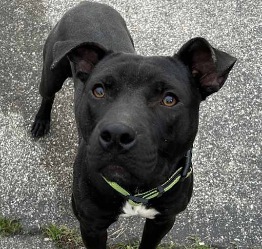 Photo of Zuko