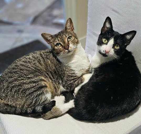 Photo of Lilly and Lilah Napa RM